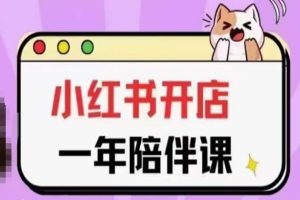 三九小红书开店一年陪伴课(更新),从0到1玩赚小红书开店