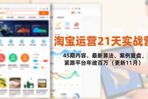 (16701期)淘宝运营21天实战营,45期内容、最新算法、案例复盘,紧跟平台年入百万(更新11月)
