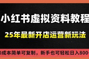 (16795期)小红书虚拟资料项目:最新搜索流变现玩法,0成本简单可复制,一人多店打法,新手日入800+