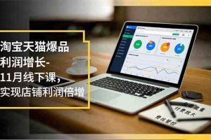 (16824期)淘宝天猫爆品利润增长-11月线下课,免费流量、付费放大、费比管控,实现店铺利润倍增