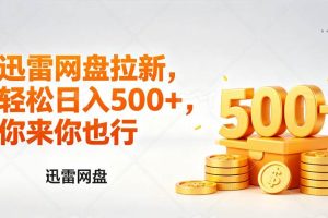 （17998期）迅雷网盘锐评拉新，轻松日入几张，小白副业首选