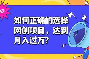 (19176期)如何正确的选择网创项目,达到月入过万?,本课程教你正确选择项目。