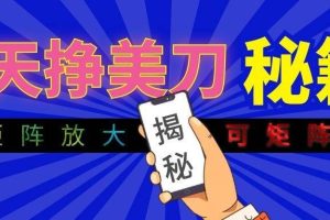 (19606期)全自动量子纠缠量化项目,每天挣几十美刀,可矩阵放大!