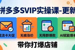 (19626期)拼多多SVIP实操课-26年7月,截流卡大促+无痕涨价+无限群爆款+AI赋能爆单新玩法,带你打爆店铺