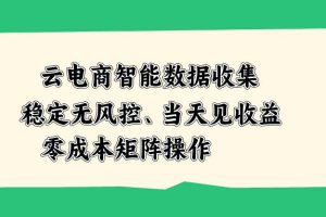 （20197期）云电商智能数据收集，稳定无风控，当天见收益，零成本矩阵操作