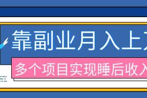 (20301期)2026年多个真实副业项目,带你搭被动收入管道(淘宝无人直播、海外TK拉新、最新最全代运营、公众号陪跑和去水印小…